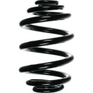 Spidan | Fahrwerksfeder | 56922