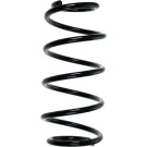 Spidan | Fahrwerksfeder | 55983