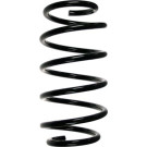 Spidan | Fahrwerksfeder | 55113