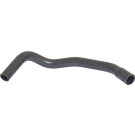 2420402 Kühlerschlauch