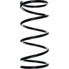 Spidan | Fahrwerksfeder | 49307