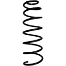 Spidan 2 x SPIDAN Fahrwerksfeder 86808