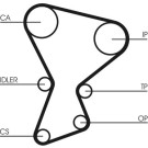 CT545 Zahnriemen CT545 Zahnriemen
