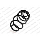 4263487 Fahrwerksfeder