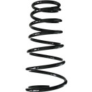 Spidan | Fahrwerksfeder | 55538
