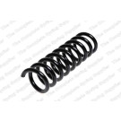 4256850 Fahrwerksfeder