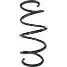 Spidan | Fahrwerksfeder | 87292
