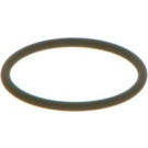 F 00V C38 002 Dichtring