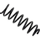 37-289690 Fahrwerksfeder BILSTEIN - B3 Serienersatz (Federn)