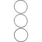 15-35170-01 Dichtungssatz, Zylinderlaufbuchse 15-35170-01 Dichtungssatz, Zylinderlaufbuchse