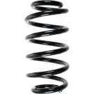 Spidan | Fahrwerksfeder | 56857