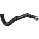 2420330 Kühlerschlauch