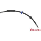 Brembo | Bremsschlauch | T 23 180