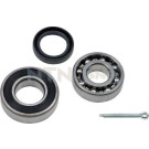 R177.10 Radlagersatz