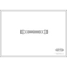 19031613 Bremsschlauch