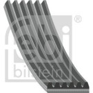 FEBI BILSTEIN 184877 Keilrippenriemen