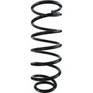 Spidan | Fahrwerksfeder | 55922