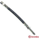 Brembo | Bremsschlauch | T 85 033