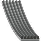 FEBI BILSTEIN 28895 Keilrippenriemen