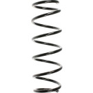 Spidan | Fahrwerksfeder | 49580