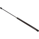 12-1668 Gasfeder, Koffer-/Laderaum