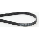 ContiTech | Keilrippenriemen | 6PK1580