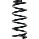 Spidan | Fahrwerksfeder | 55478