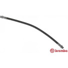 Brembo | Bremsschlauch | T 50 057