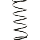 Spidan | Fahrwerksfeder | 49270