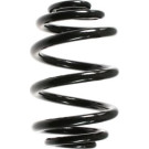 Spidan | Fahrwerksfeder | 55123