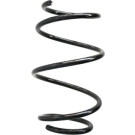 Spidan | Fahrwerksfeder | 56967