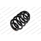 4208450 Fahrwerksfeder