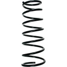 Spidan | Fahrwerksfeder | 49574