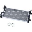 NRF | Kühler, Motorkühlung | 55314