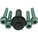 80001256 Schraubensatz, Riemenscheibe-Kurbelwelle