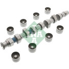 428 0048 30 Nockenwellensatz 428 0048 30 Nockenwellensatz