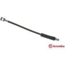 Brembo | Bremsschlauch | T 59 005