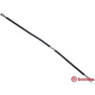 Brembo | Bremsschlauch | T 56 179