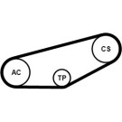 ContiTech | Keilrippenriemensatz | 4PK855K1