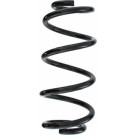 Spidan | Fahrwerksfeder | 55398