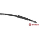 Brembo | Bremsschlauch | T 23 194