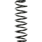 Spidan | Fahrwerksfeder | 49346