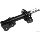 J4304003 Stoßdämpfer