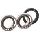 SKF | Radlagersatz | VKBA 1333