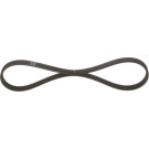 1 987 947 890 Keilrippenriemen