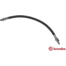 Brembo | Bremsschlauch | T 24 092