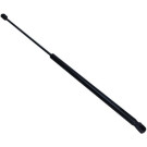 12-1830 Gasfeder, Koffer-/Laderaum