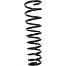 Spidan | Fahrwerksfeder | 49532