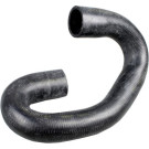 2420079 Kühlerschlauch