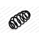 4263458 Fahrwerksfeder